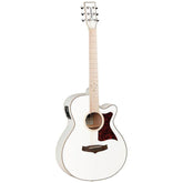 Tanglewood Acoustic Guitar Winterleaf TW4E BLW - 4/4